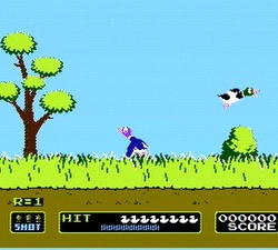 Duck Hunt