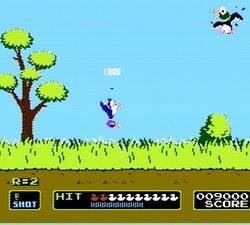 Duck Hunt
