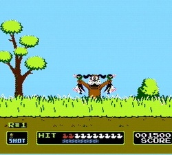 Duck Hunt